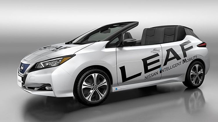 Nissan Leaf оставили без крыши