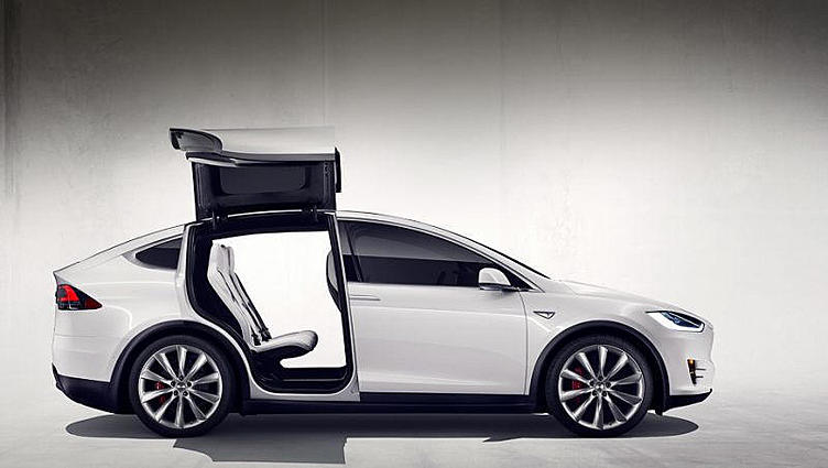Фирма Tesla Motors пошла навстречу вегетарианцам Фирма Tesla Motors пошла навстречу вегетарианцам