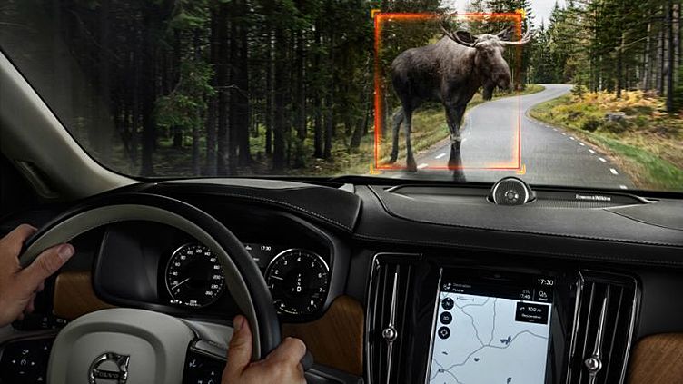 Volvo оснастят системой распознавания крупных животных Volvo оснастят системой распознавания крупных животных