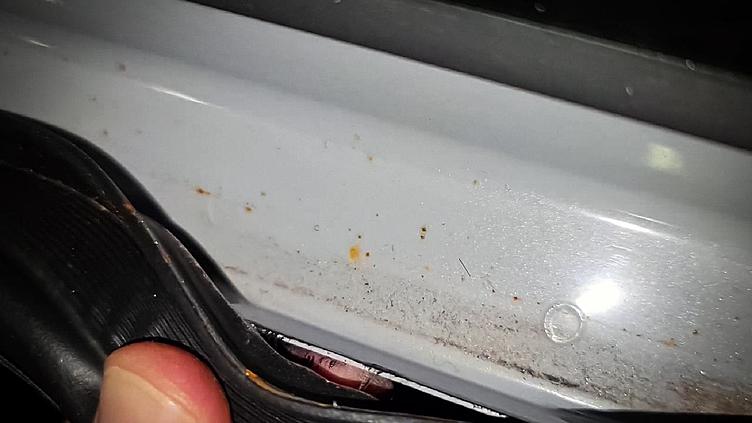 Новые Kia K5 ржавеют прямо в автосалонах Новые Kia K5 ржавеют прямо в автосалонах